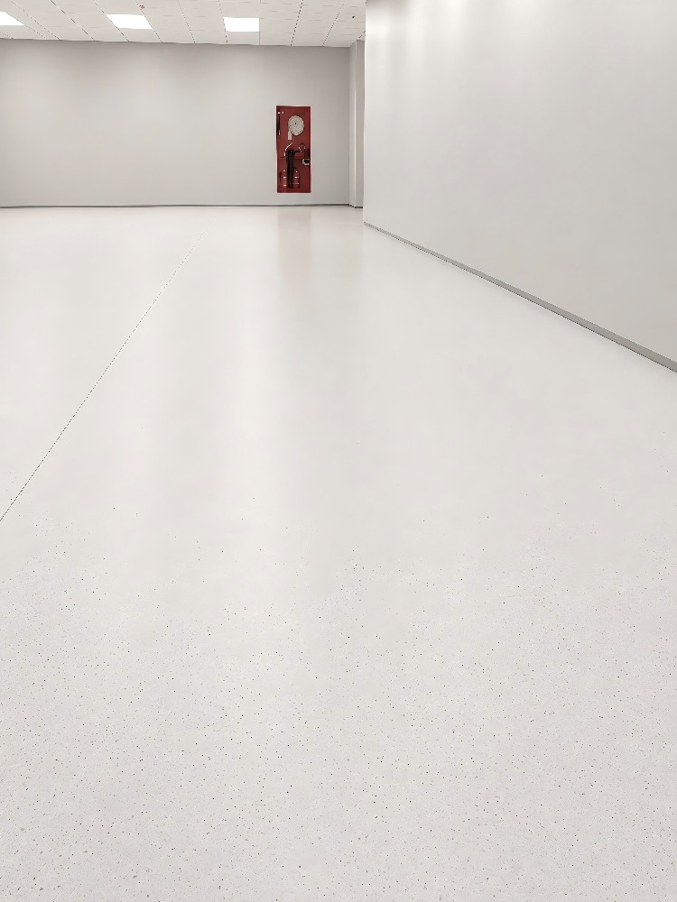 Netherlands Pharmaceutical Factory Vinyl Flooring Project